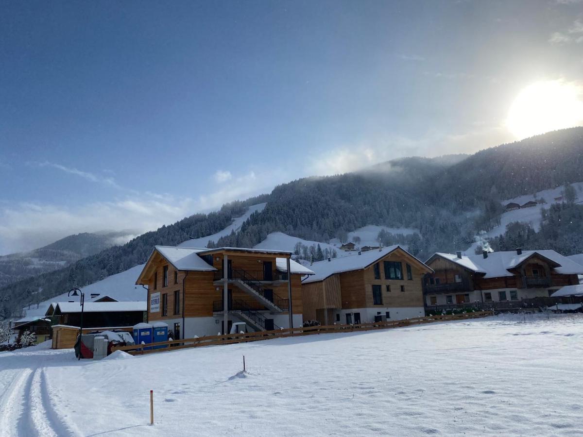 Chalet Reiteralm- Ski Inski Out 斯拉德明 外观 照片