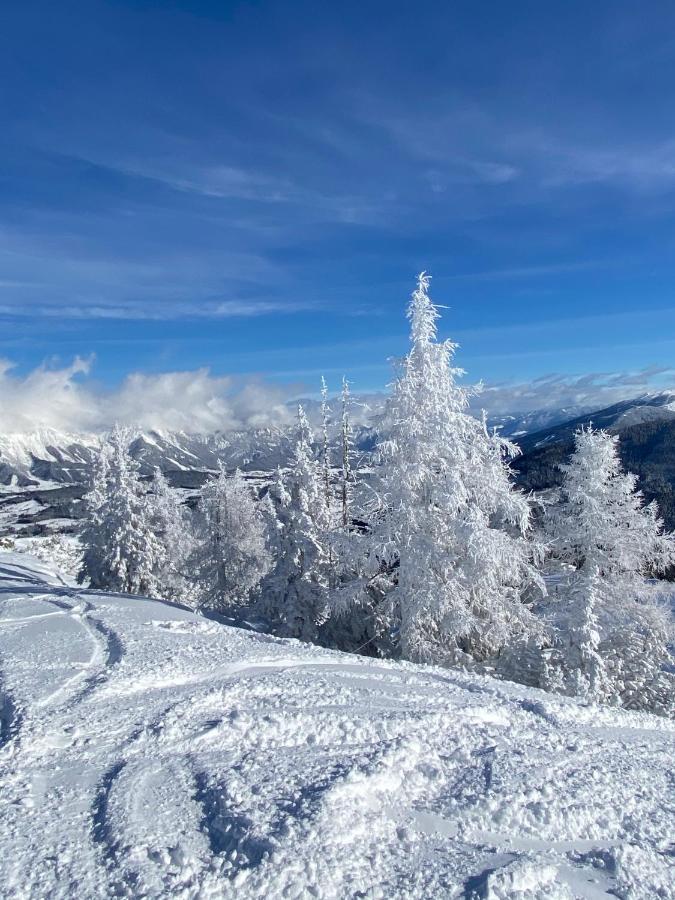 Chalet Reiteralm- Ski Inski Out 斯拉德明 外观 照片