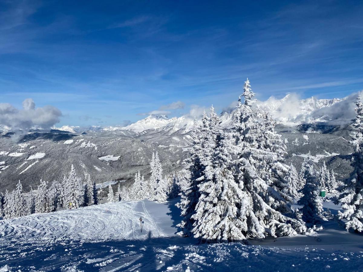 Chalet Reiteralm- Ski Inski Out 斯拉德明 外观 照片