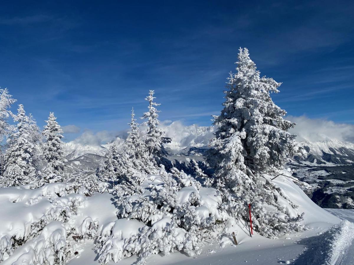 Chalet Reiteralm- Ski Inski Out 斯拉德明 外观 照片