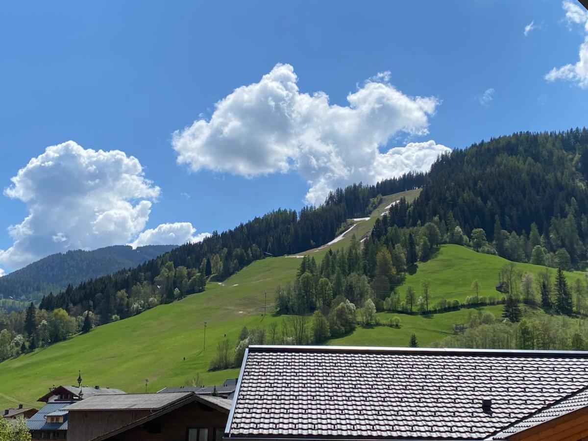 Chalet Reiteralm- Ski Inski Out 斯拉德明 外观 照片