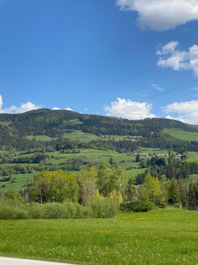 Chalet Reiteralm- Ski Inski Out 斯拉德明 外观 照片
