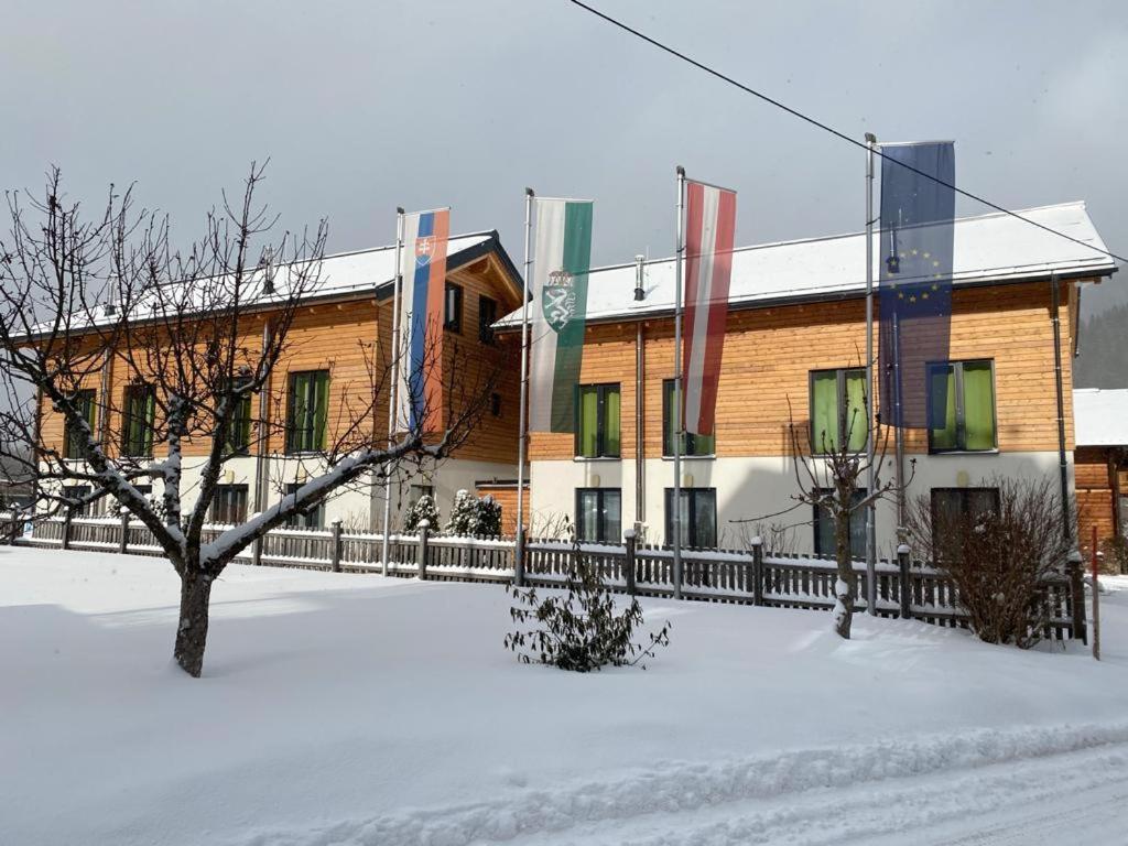 Chalet Reiteralm- Ski Inski Out 斯拉德明 外观 照片