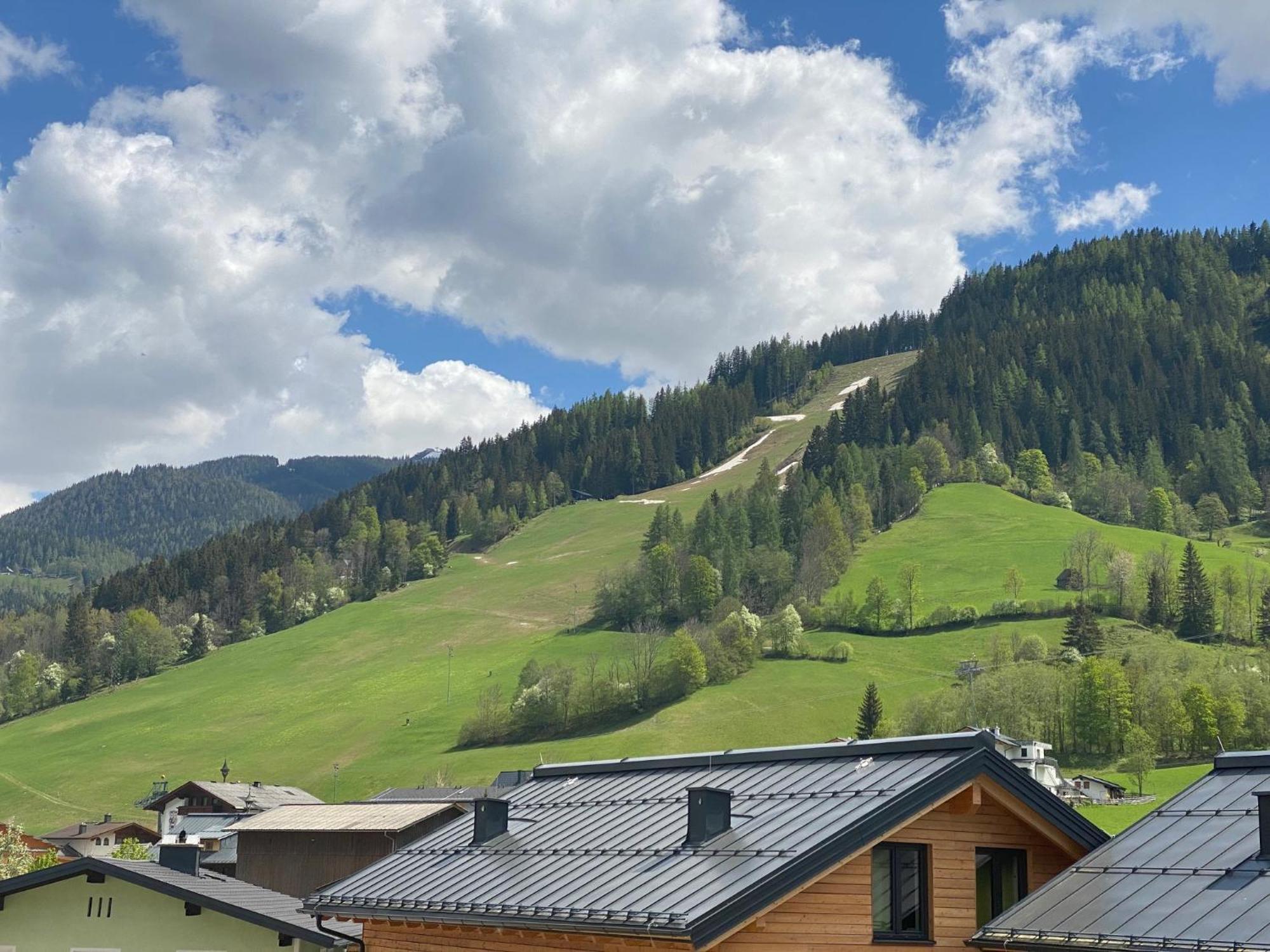 Chalet Reiteralm- Mit Sommercard 斯拉德明 外观 照片